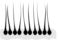 Kako radi Revolumen Hair