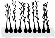 Kako radi Revolumen Hair